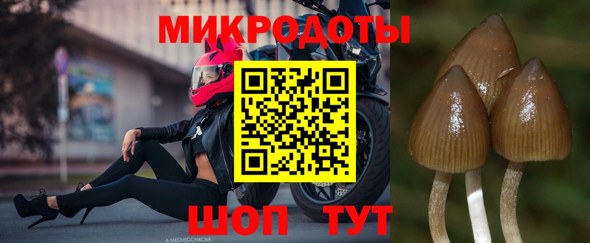 Псилоцибиновые грибы ЛСД  Вход с VPN  Галлюциногенные грибы MAGIC MUSHROOMS  закладка  Ивантеевка 